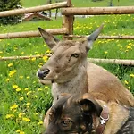 Kleintierhof Seidl-eder *