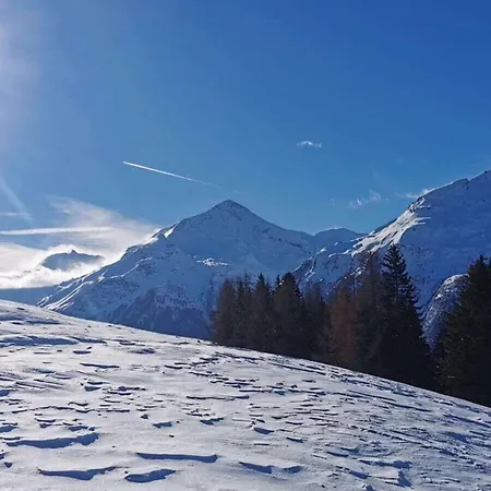Kleintierhof Seidl-eder