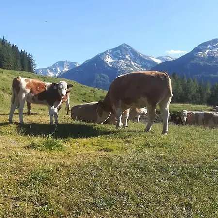 Kleintierhof Seidl-eder