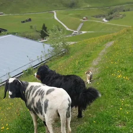 Kleintierhof Seidl-eder Casa de Férias