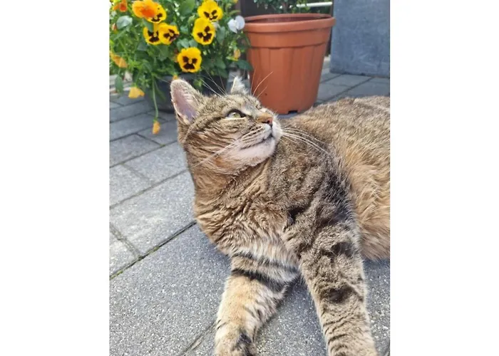 Kleintierhof Seidl-eder Rauris