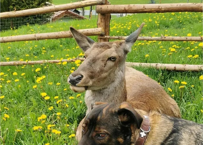 Kleintierhof Seidl-eder *