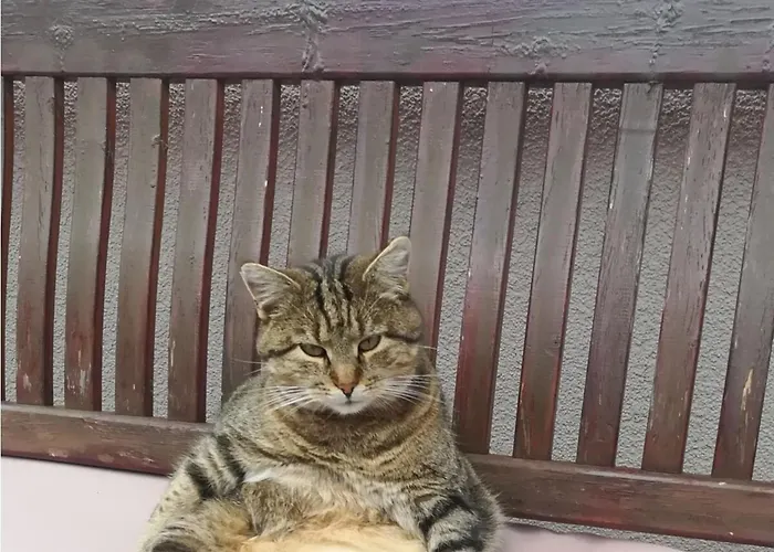 Kleintierhof Seidl-eder Prázdninový dům