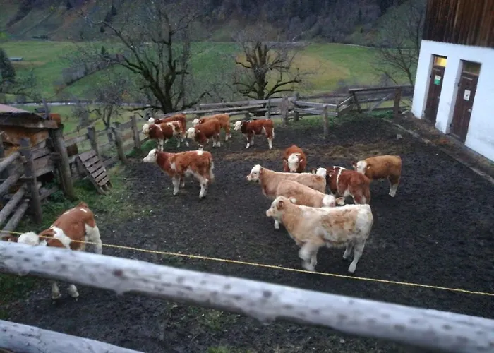 Kleintierhof Seidl-eder * Rauris