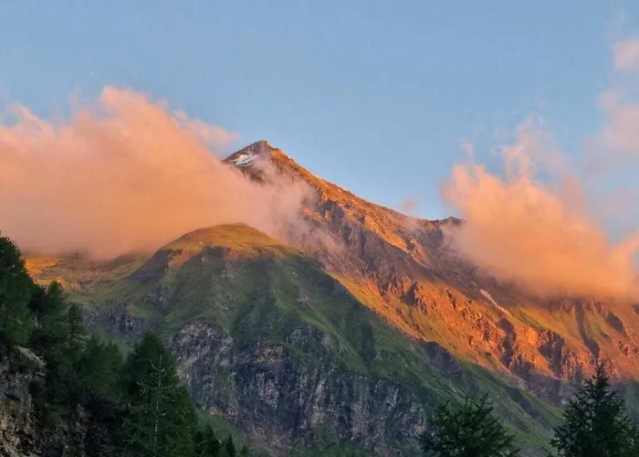 Kleintierhof Seidl-eder