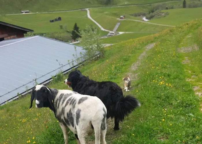 Kleintierhof Seidl-eder Prázdninový dům