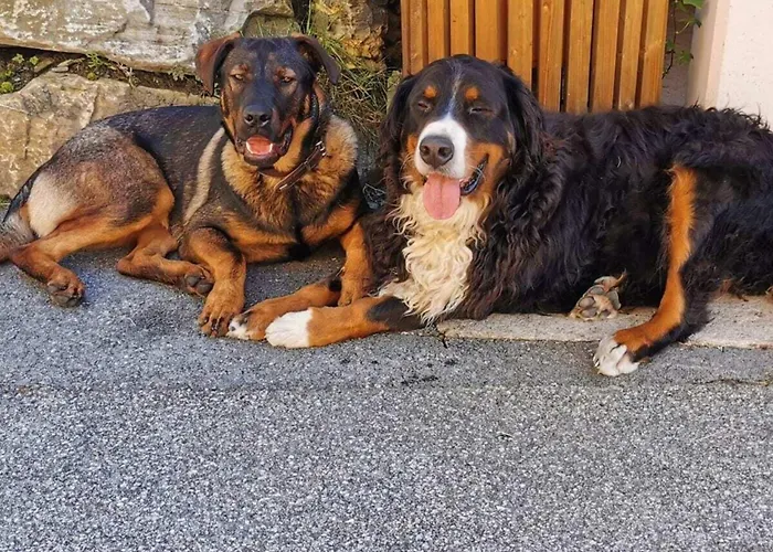 Kleintierhof Seidl-eder Prázdninový dům Rauris